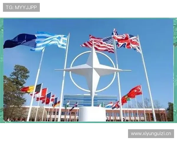 恩佐从8号位到组织核心的角色演变解析